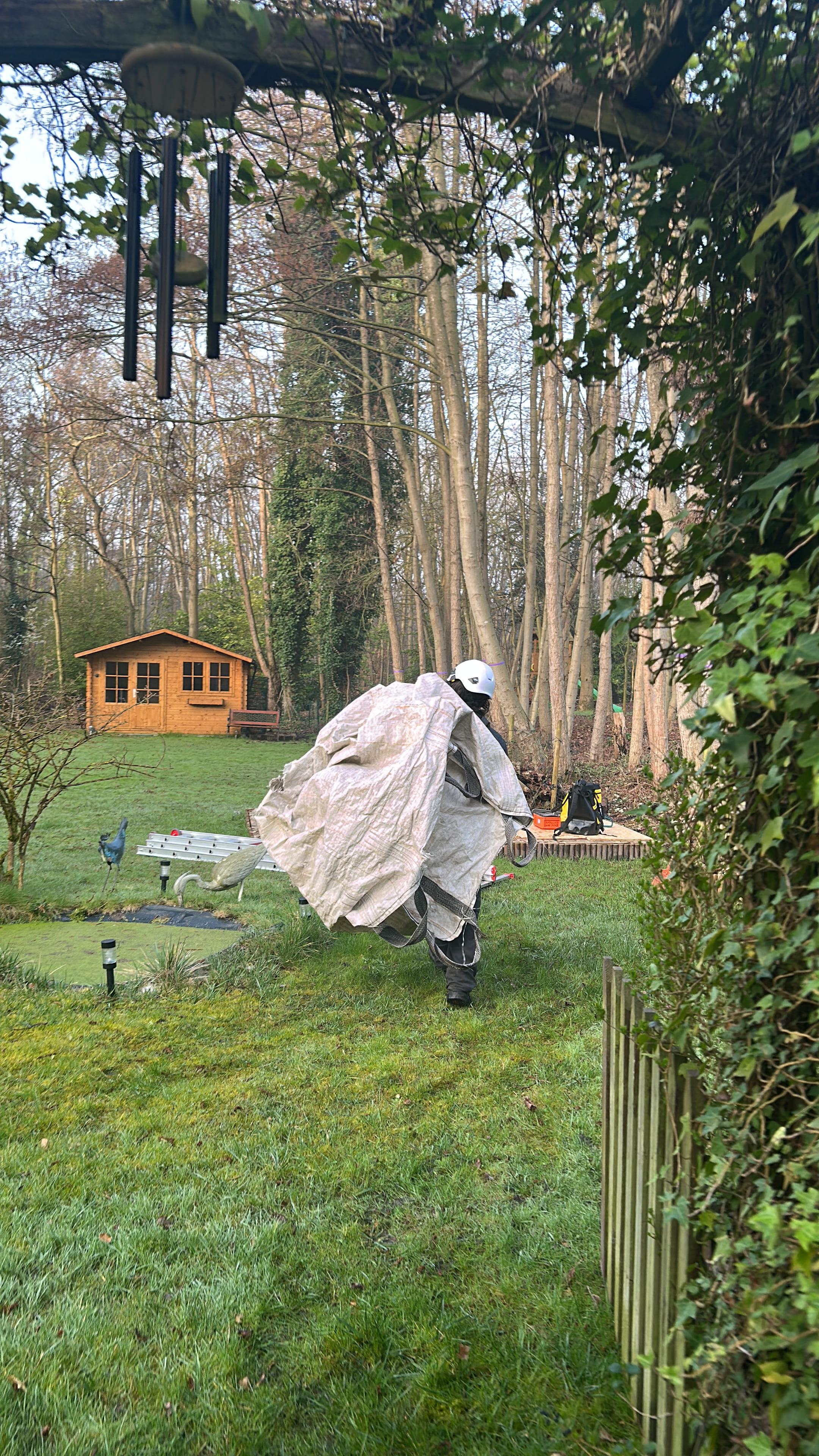 Conseil arboricole